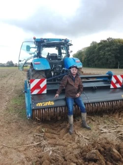 Imants 38sx300h